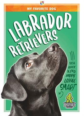Cover image for Labrador Retrievers