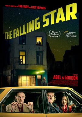 Cover image for The Falling Star