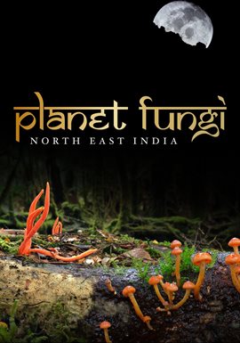 Cover image for Planet Fungi: North East India