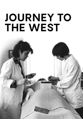 Cover image for Journey to the West