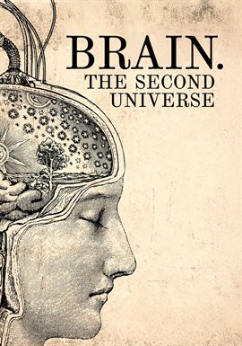 Brain. The Second Universe