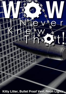 Imagen de portada para Kitty Litter, Bullet Proof Vest, Neon Lights
