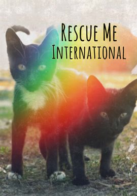 Cover image for Rescue Me: International