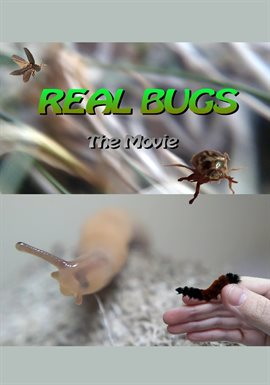 Cover image for Real Bugs: The Movie