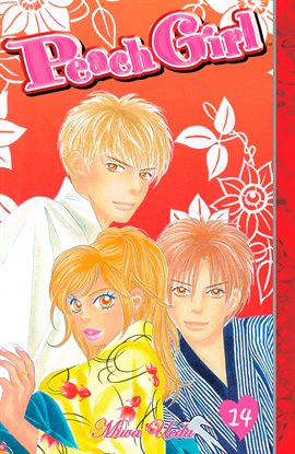 Cover image for Peach Girl Vol. 14