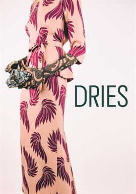 Cover image for Dries