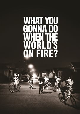 Cover image for What You Gonna Do When the World's on Fire?
