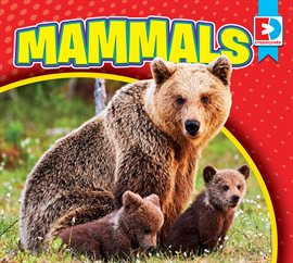 Cover image for Mammals