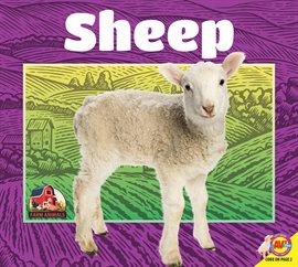 Cover image for Sheep