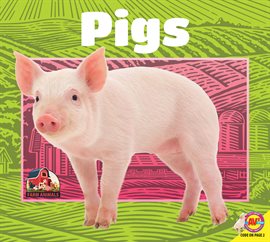 Cover image for Pigs
