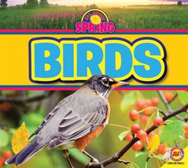 Cover image for Birds