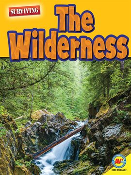 Cover image for The Wilderness