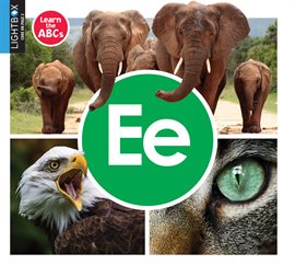 Cover image for Ee