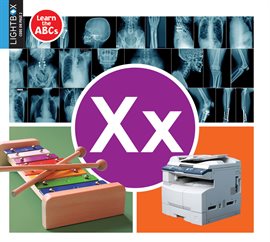 Cover image for Xx