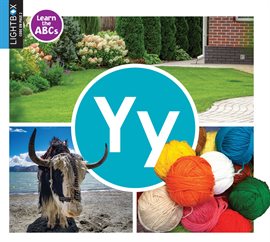 Cover image for Yy