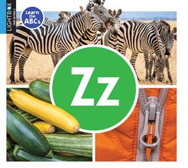 Cover image for Zz
