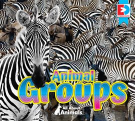 Cover image for All About Animals - Animal Groups