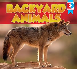 Cover image for Backyard Animals