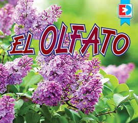 Imagen de portada para El olfato