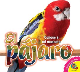 Imagen de portada para El pájaro