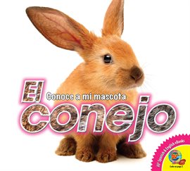 Cover image for El conejo