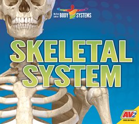 Imagen de portada para Skeletal System