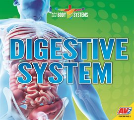 Imagen de portada para Digestive System