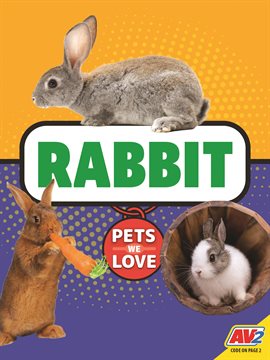 Cover image for Rabbit