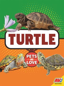 Cover image for Turtle