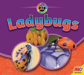 Cover image for Ladybugs