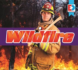 Cover image for Wildfire