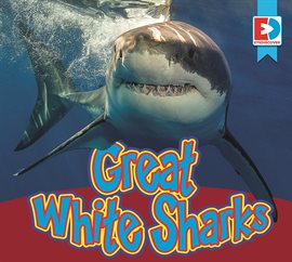 Cover image for Great White Shark