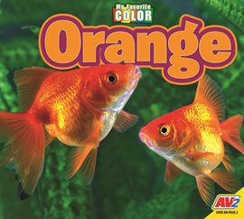 Imagen de portada para Orange