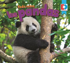 Imagen de portada para Todo sobre los pandas