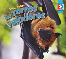 Imagen de portada para Todo sobre los zorros voladores