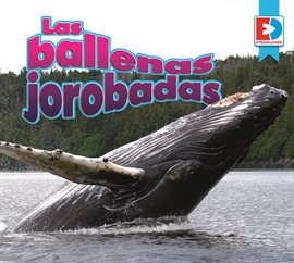 Imagen de portada para Las ballenas jorobadas