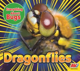 Imagen de portada para Dragonflies