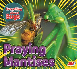 Cover image for Praying Mantises