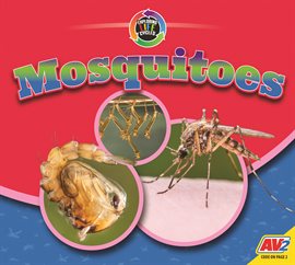 Cover image for Mosquitoes