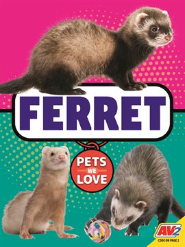 Cover image for Ferret
