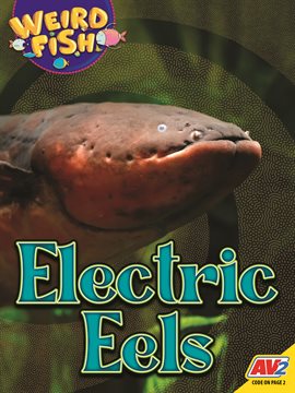 Imagen de portada para Electric Eels