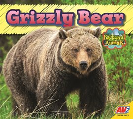 Grizzly Bear