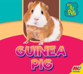 Guinea Pig