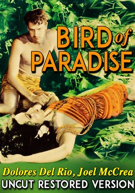 Cover image for Bird Of Paradise