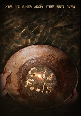 Imagen de portada para Gold Fools