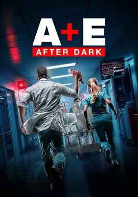 Imagen de portada para Anniversary in the Er