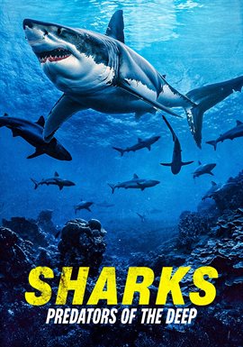 Cover image for Sharks: Predators of the Deep