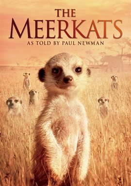The Meerkats The Meerkats
