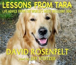 Cover image for Lessons from Tara: Life Advice from the World's Most Brilliant Dog
