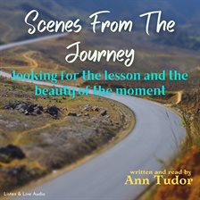Cover image for Scenes From The Journey